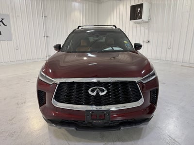2024 INFINITI QX60 AUTOGRAPH