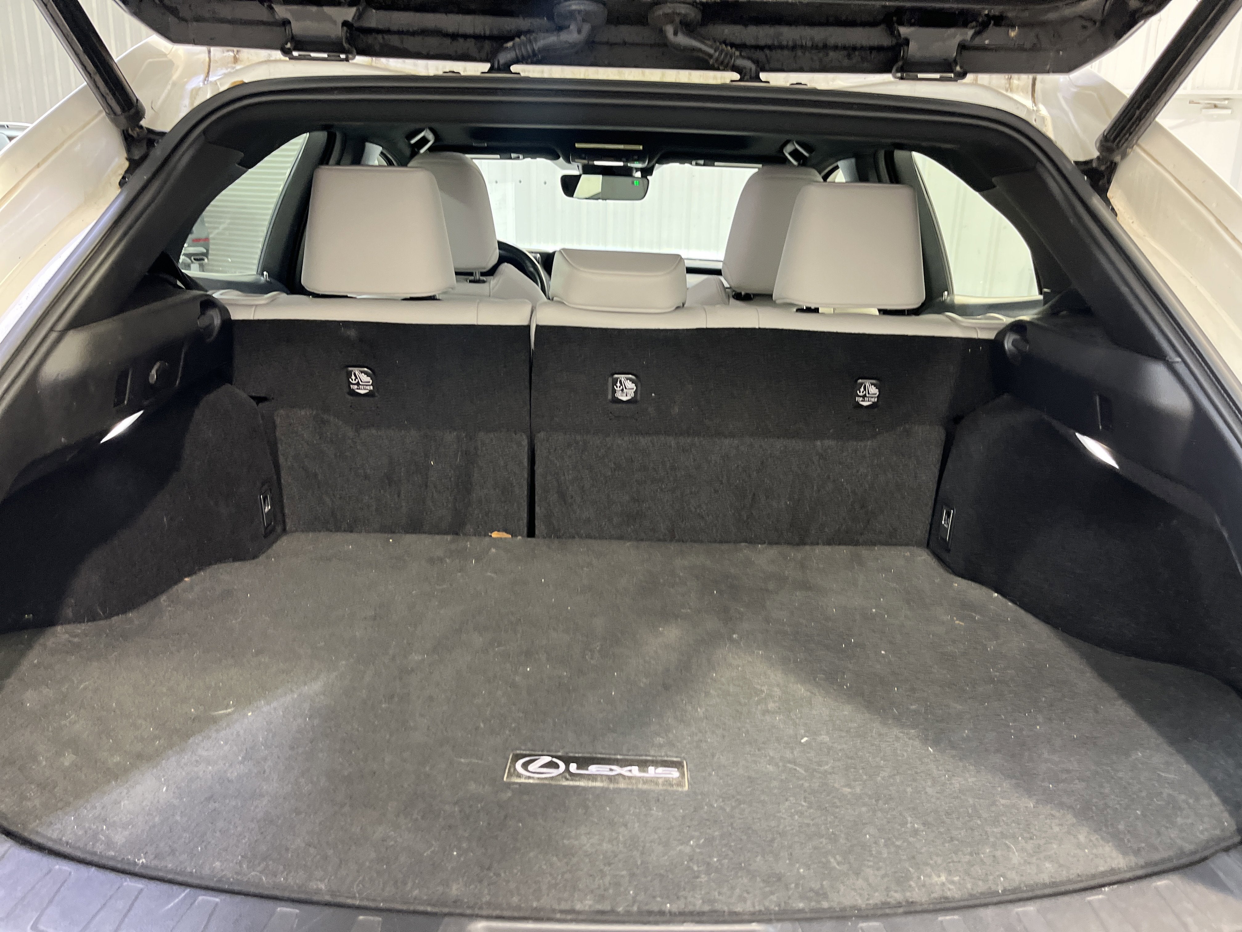 2021 Lexus UX UX 250h