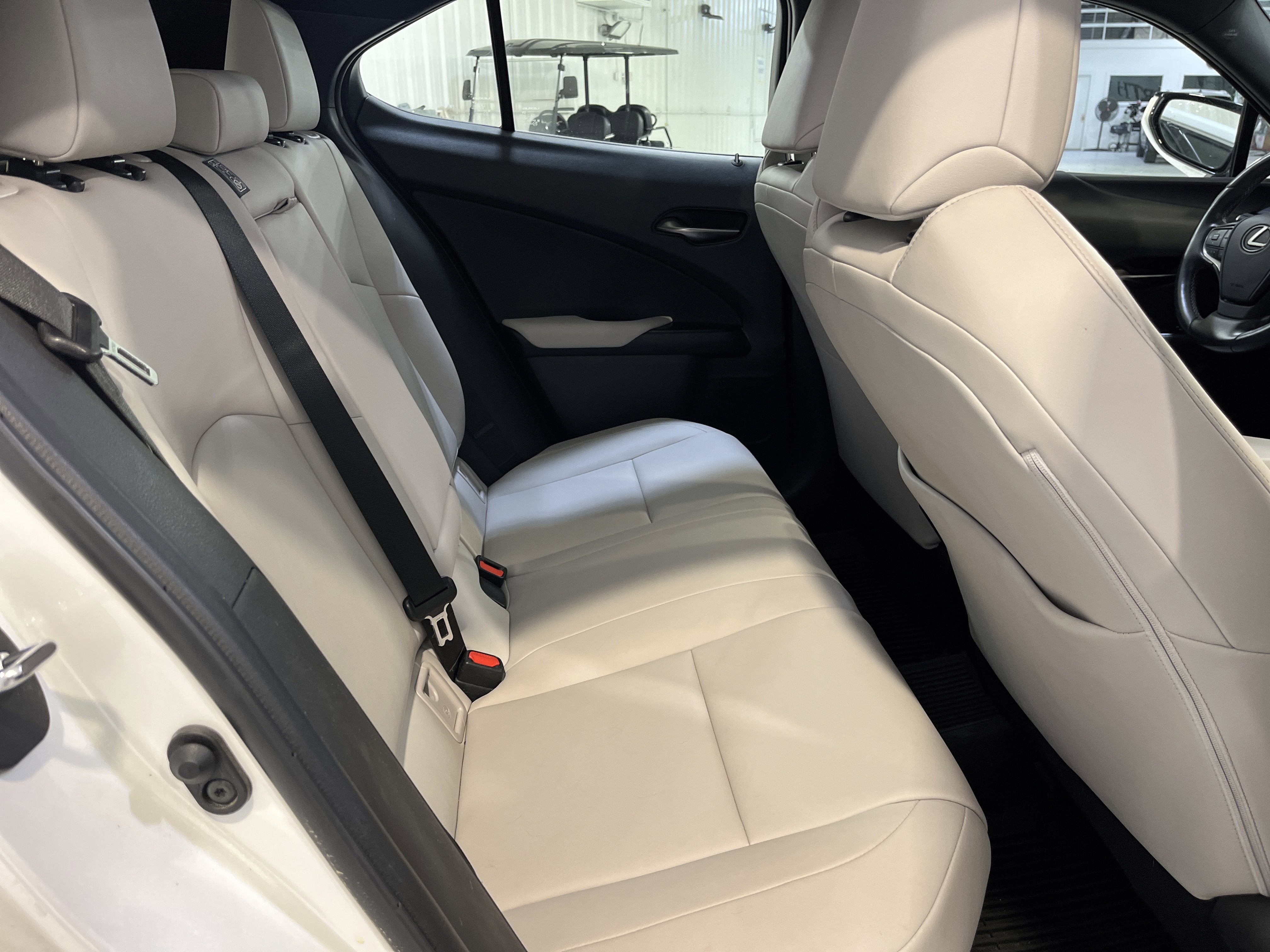 2021 Lexus UX UX 250h