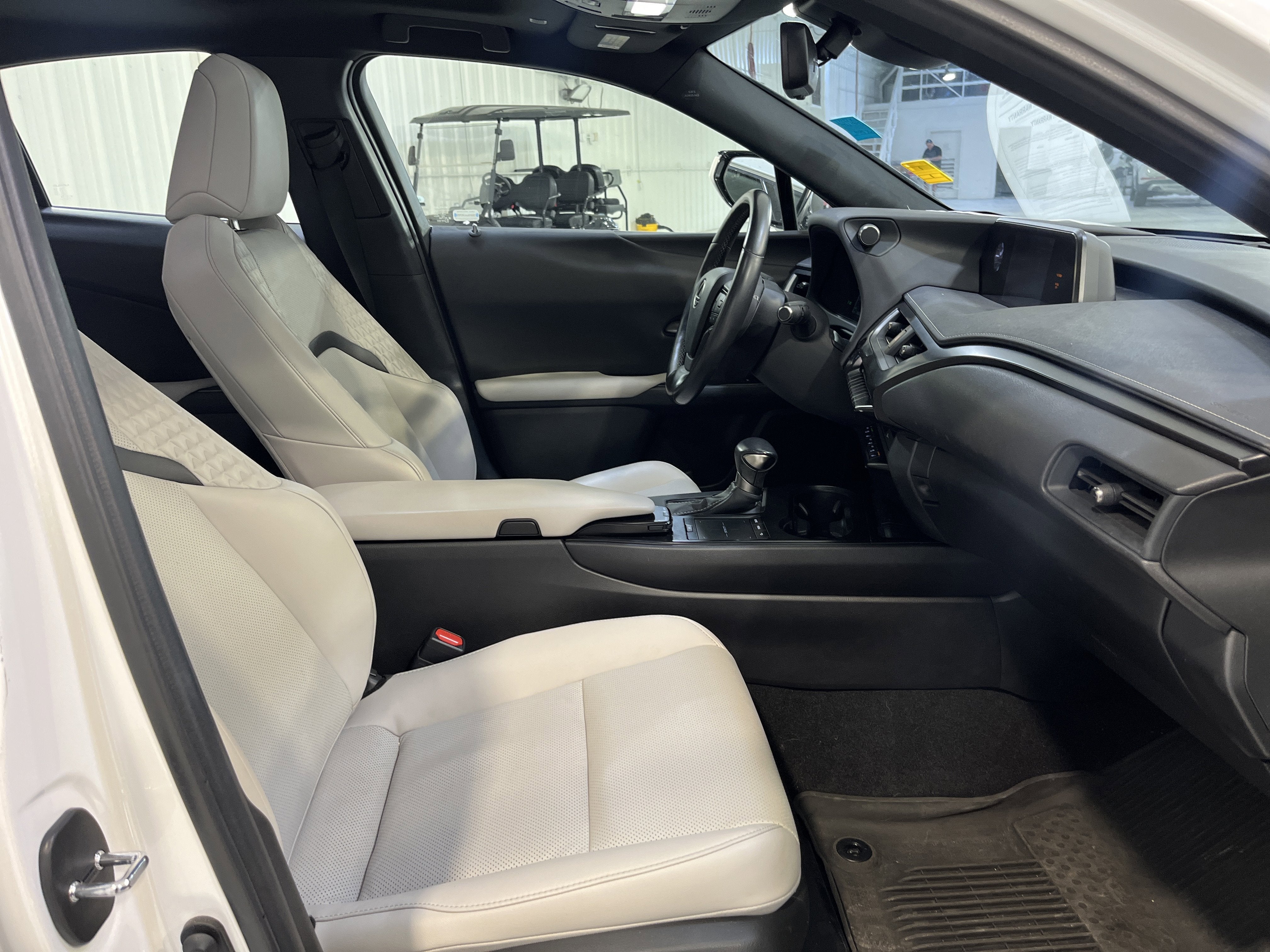 2021 Lexus UX UX 250h