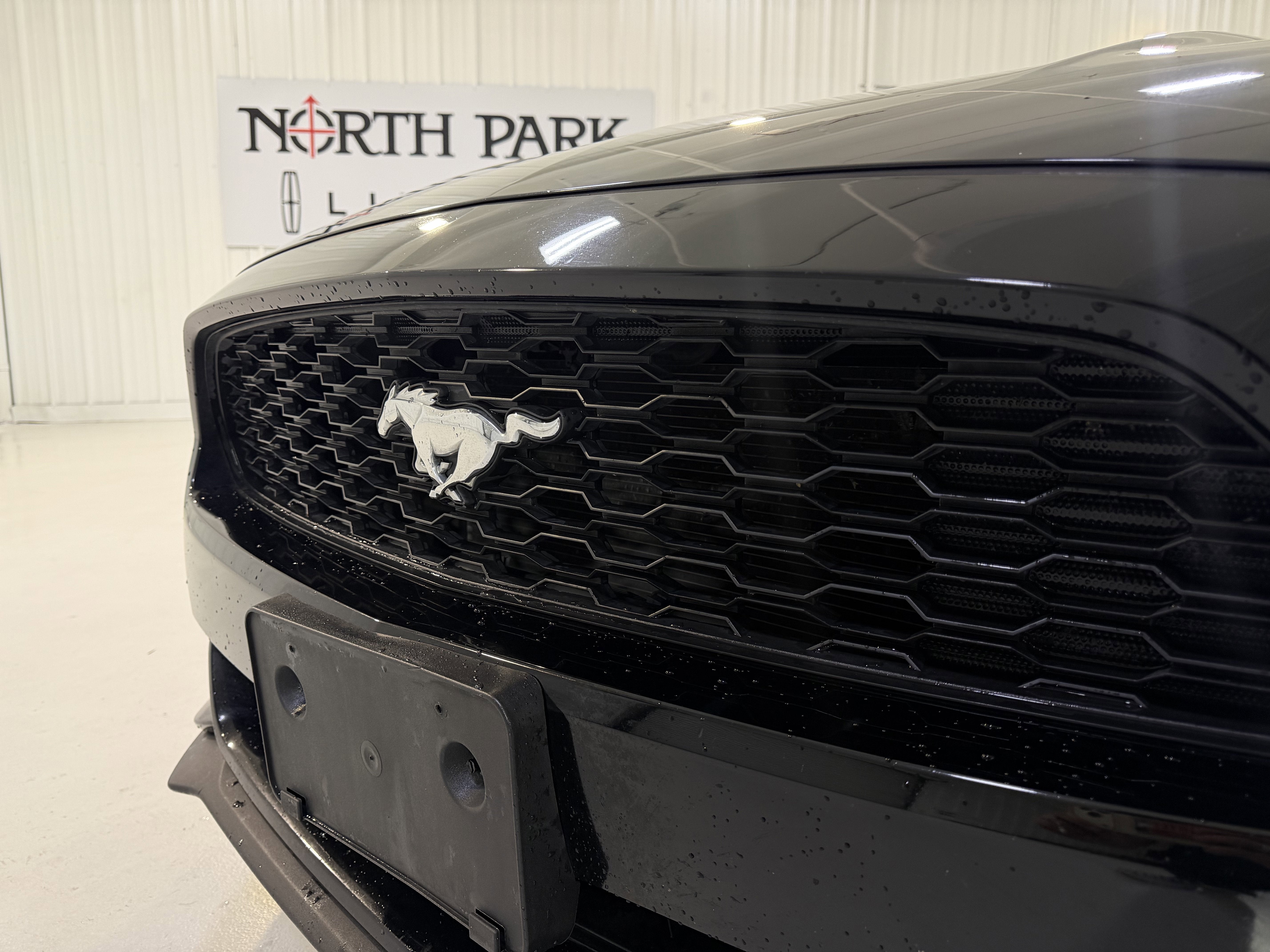 2017 Ford Mustang V6