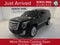2017 Cadillac Escalade ESV Platinum